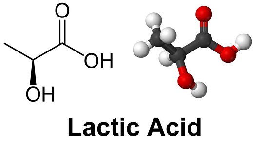 Acid Lactic